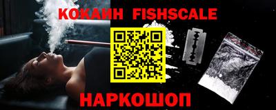 крисы Кунгур