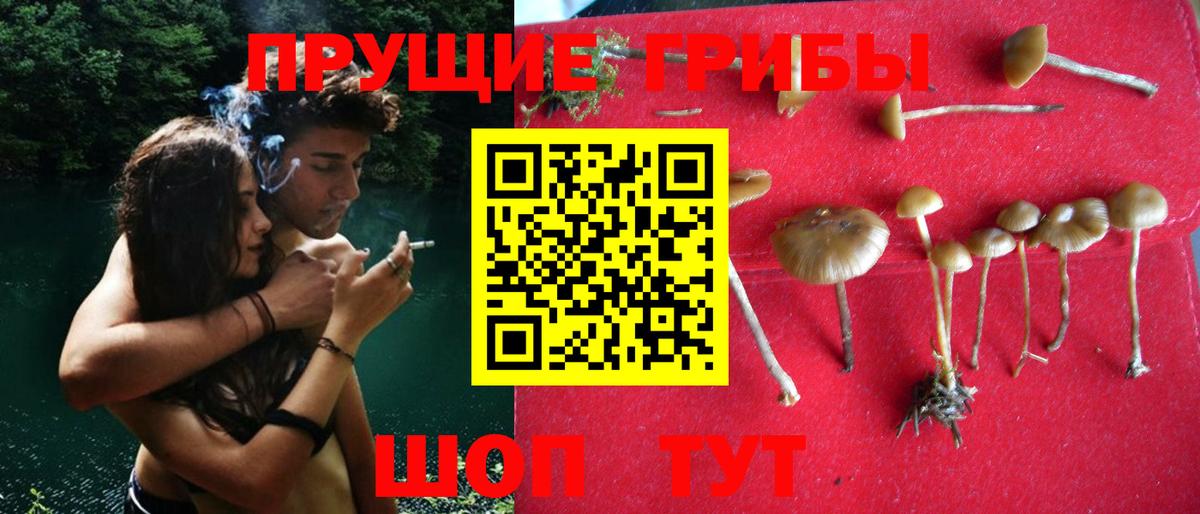 магазин  наркотиков  Вход с VPN  Гагарин  Псилоцибиновые грибы Cubensis 